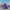 Super Grover collectible duck front view on a city rooftop