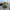 Navy Captain Duck front view with harbor background