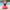 Tropical Flamingo Duck front view on sand with tropical shoreline background