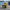Navy Captain Duck right-facing side view with harbor background