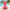 Tropical Flamingo Duck back view with tropical shoreline background