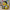 Graphic Designer Duck collectible camera-facing view in a creative studio