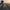 Navy Flight Deck Duck - Front View | Zero Ducks Given