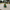 Soldier Duck camera-facing view