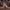 Camera-facing view of Roger Rabbit-inspired 3D printed duck