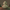 Oogie Boogie Duck collectible, back view