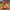 Philadelphia Phillies baseball duck, camera-facing view