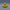 Deflated Duck - Back View | Zero Ducks Given