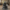 T-45 Power Armor-Inspired Duck, camera-facing three-quarter view