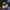 Hannibal Lecter Duck - camera-facing view