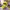 Minion Duck One Eye camera-facing view