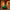 Jabba Duck Side View 1
