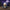 Jack Skellington Duck - front
