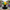 Jester Duck – Back