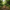 Kiwi Kiwi Duck – Right Side