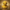 Gold Protocol Droid Duck - Elite Series