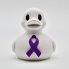 Leiomyosarcoma Duck