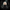 Lord Voldemort Duck - Back View