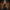 Mafia Duck – Camera Facing