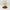 Marshmallow Camping Duck – left profile view