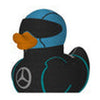 Mercedes F1 Duck