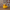 Mexico Duck – Left Side