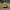 Military Duck Left Side
