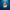 Navy Sailor Duck — Camera Facing