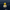 Navy Service Duck — Back