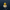 Navy Service Duck — Camera Facing
