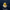 Navy Service Duck — Front