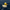 Navy Service Duck — Right Side
