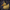 New Years Eve Duck - Right Side