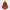 Northern Cardinal Duck 360 degree rotating view