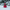Northern Cardinal Duck - Camera Facing