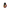 Nutcracker Duck