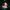 Pennywise Duck - Left Side