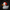Pennywise Duck - Right Side