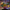Princess Peach Duck - Back View