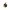 Pterosaur Duck