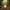 Rabbit Duck - View 1