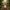 Rabbit Duck - View 4