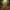 Reindeer Duck - View 1