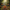 Reindeer Duck - View 2