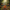 Reindeer Duck - View 3