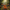 Reindeer Duck - View 4