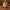 Santa Duck V2 - front