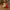 Santa Duck V2 - 45 degree