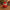 Santa Duck V2 - back