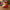 Santa Duck V2 - left side